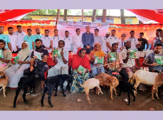 বাকৃবি শিক্ষার্থীদের উদ্যোগে ২০০ গরুকে লাম্পি স্কিন রোগের টিকা প্রদান